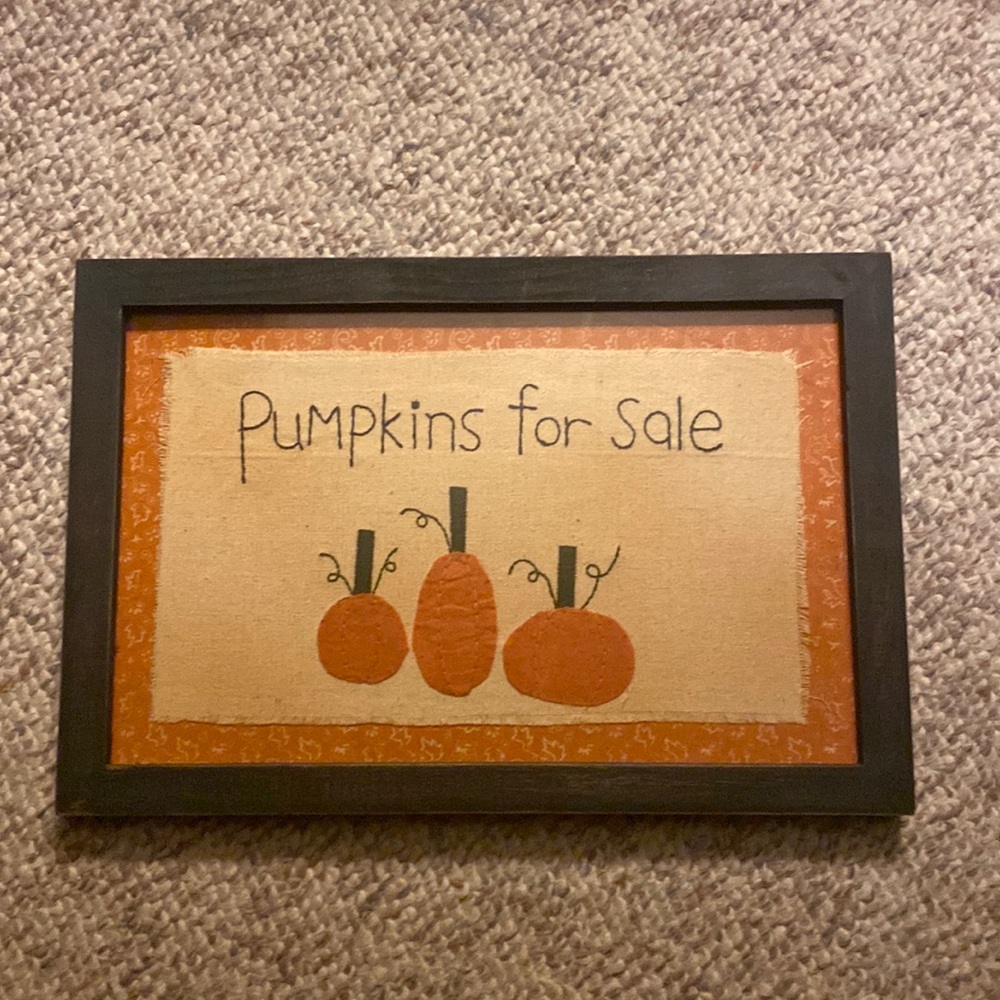Designs by Kathy Pumpkins for sale picture